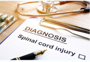Spinal cord diagnosis